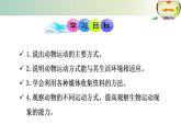 15.1动物运动的方式++课件2022-2023学年北师大版生物八年级上册