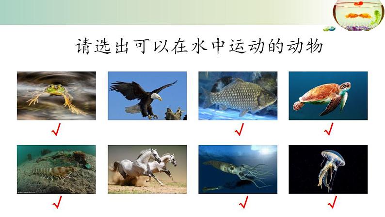 15.1动物运动的方式++课件2022-2023学年北师大版生物八年级上册第6页