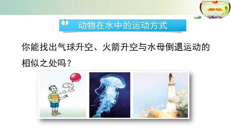 15.1动物运动的方式++课件2022-2023学年北师大版生物八年级上册第8页