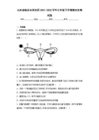 山东省临沂市河东区2021-2022学年七年级下学期期末生物试题(word版含答案)