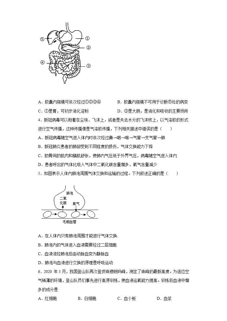 山东省临沂市河东区2021-2022学年七年级下学期期末生物试题(word版含答案)02