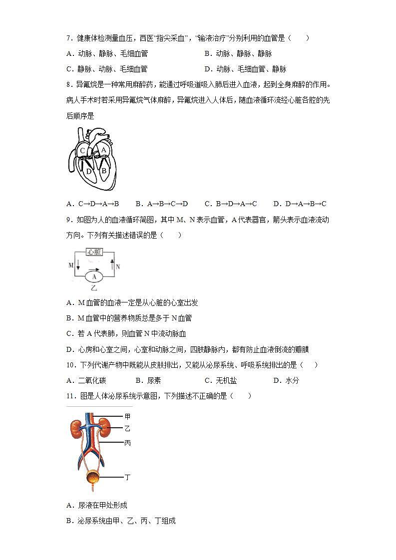 山东省临沂市河东区2021-2022学年七年级下学期期末生物试题(word版含答案)03