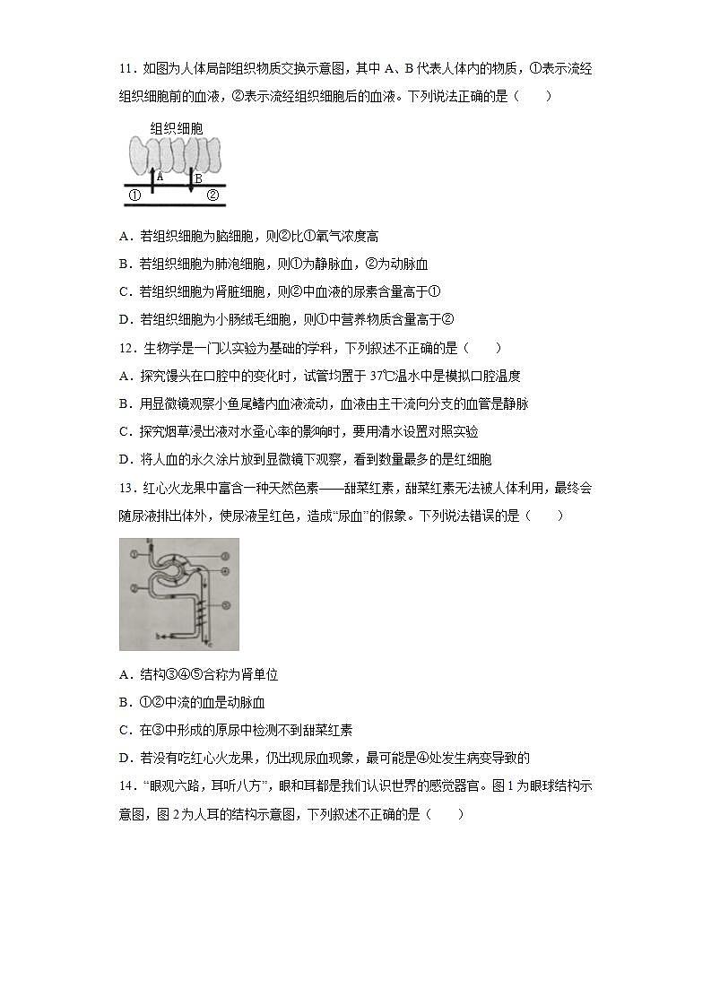 江西省宜春市2021-2022学年七年级下学期期末生物试题(word版含答案)03