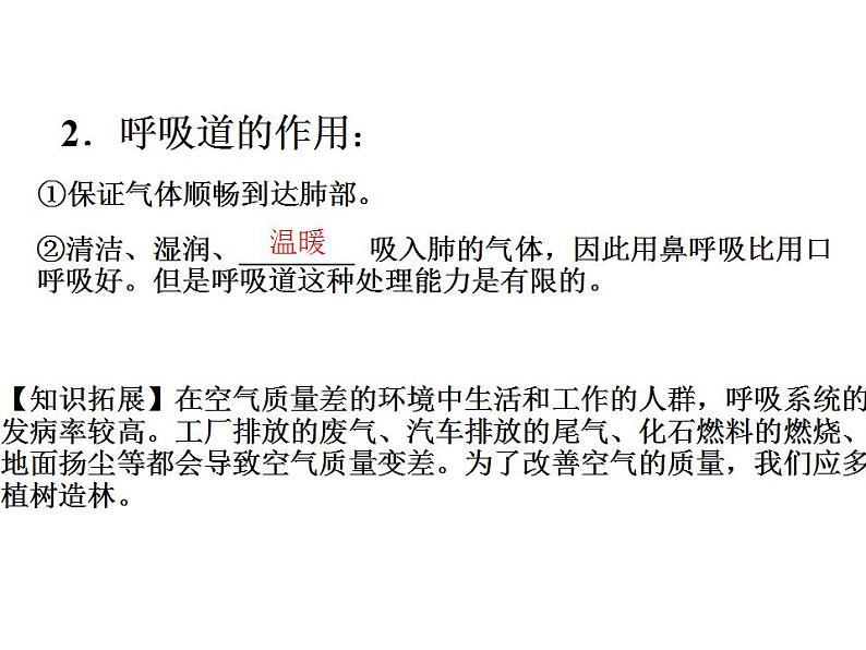 第十章第三节 人体的呼吸复习课课件 2021--2022学年苏教版七年级下册生物第5页