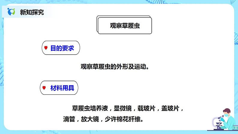 人教新版生物七年级上册《单细胞生物》课件+教案+练习06