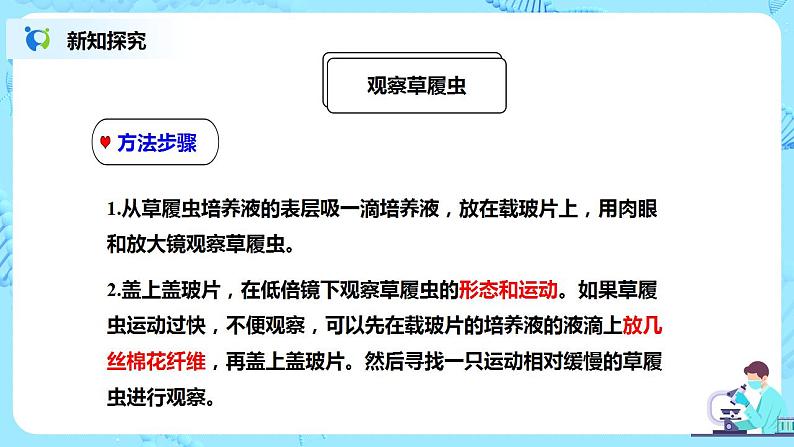 人教新版生物七年级上册《单细胞生物》课件+教案+练习07