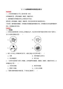 人教版 (新课标)七年级上册第三节 动物细胞同步达标检测题