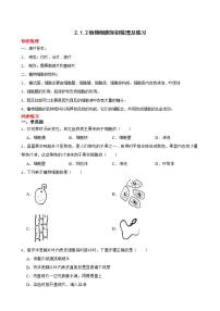 初中生物人教版 (新课标)七年级上册第二单元 生物体的结构层次第一章 细胞是生命活动的基本单位第二节 植物细胞课后复习题