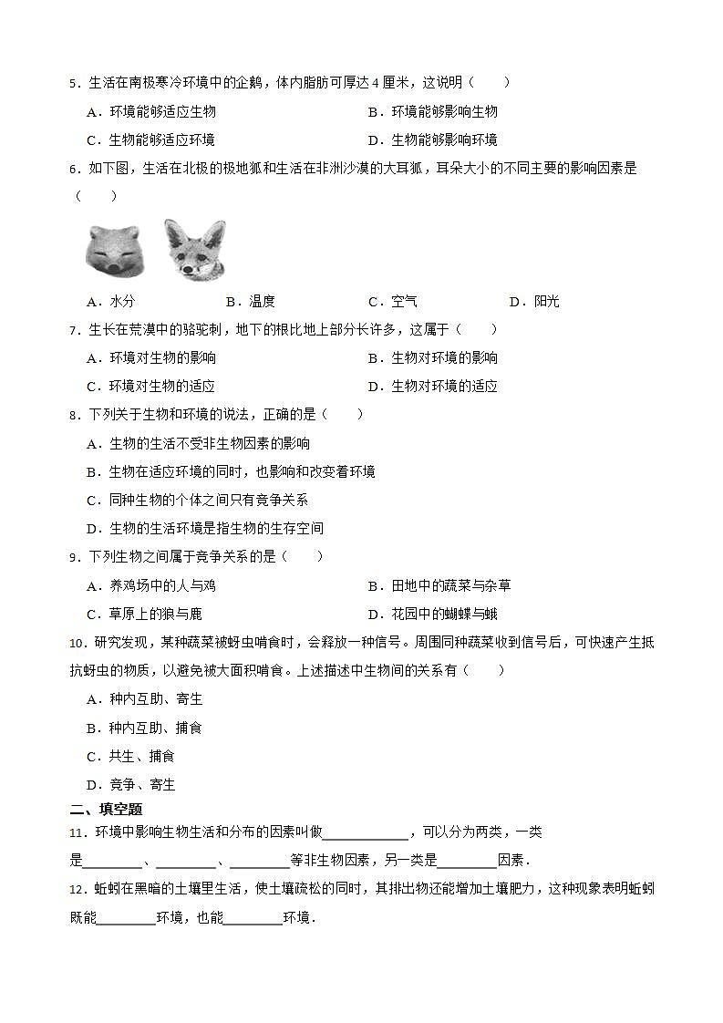 1.2.1生物与环境的关系知识梳理及练习 2022-2023年人教版生物七年级上册（解析版+原卷版）02