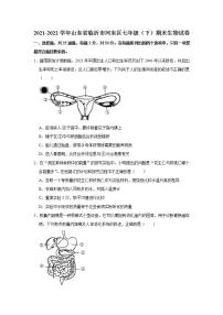 山东省临沂市河东区2021-2022学年七年级下学期期末生物试卷(word版含答案)