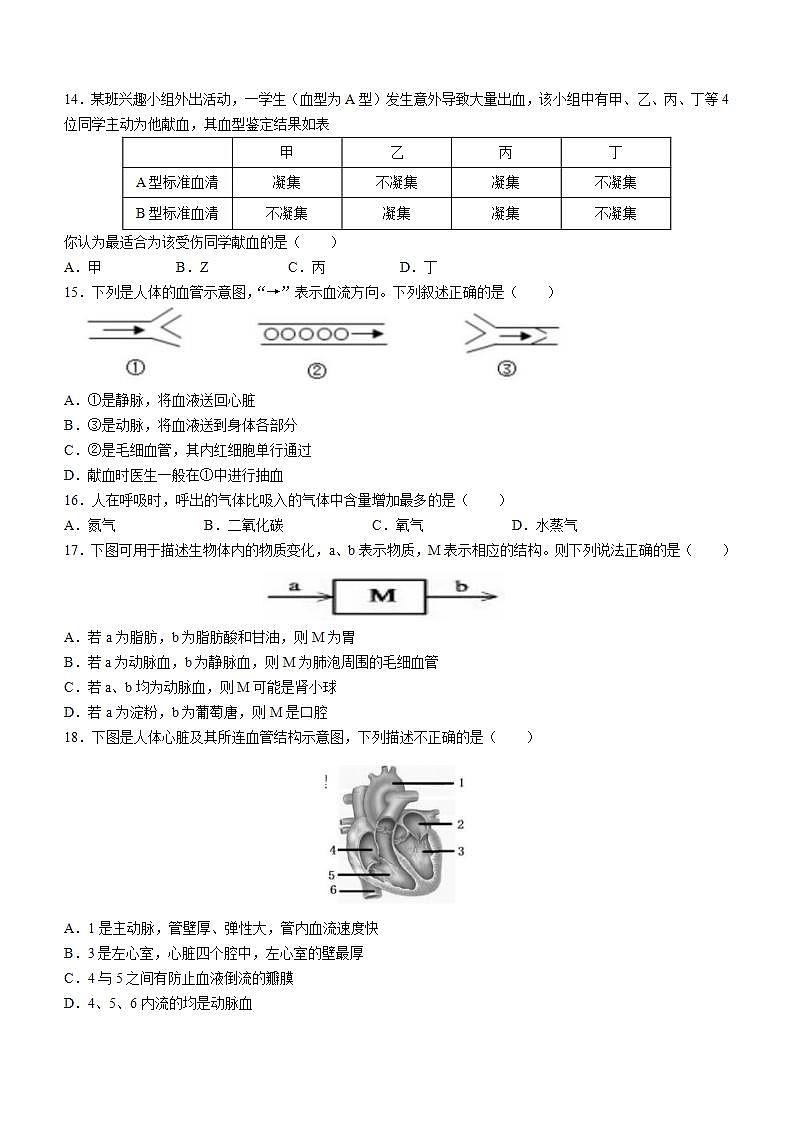 湖南省永州市双牌县2021-2022学年七年级下学期期末生物试题(word版含答案)第3页