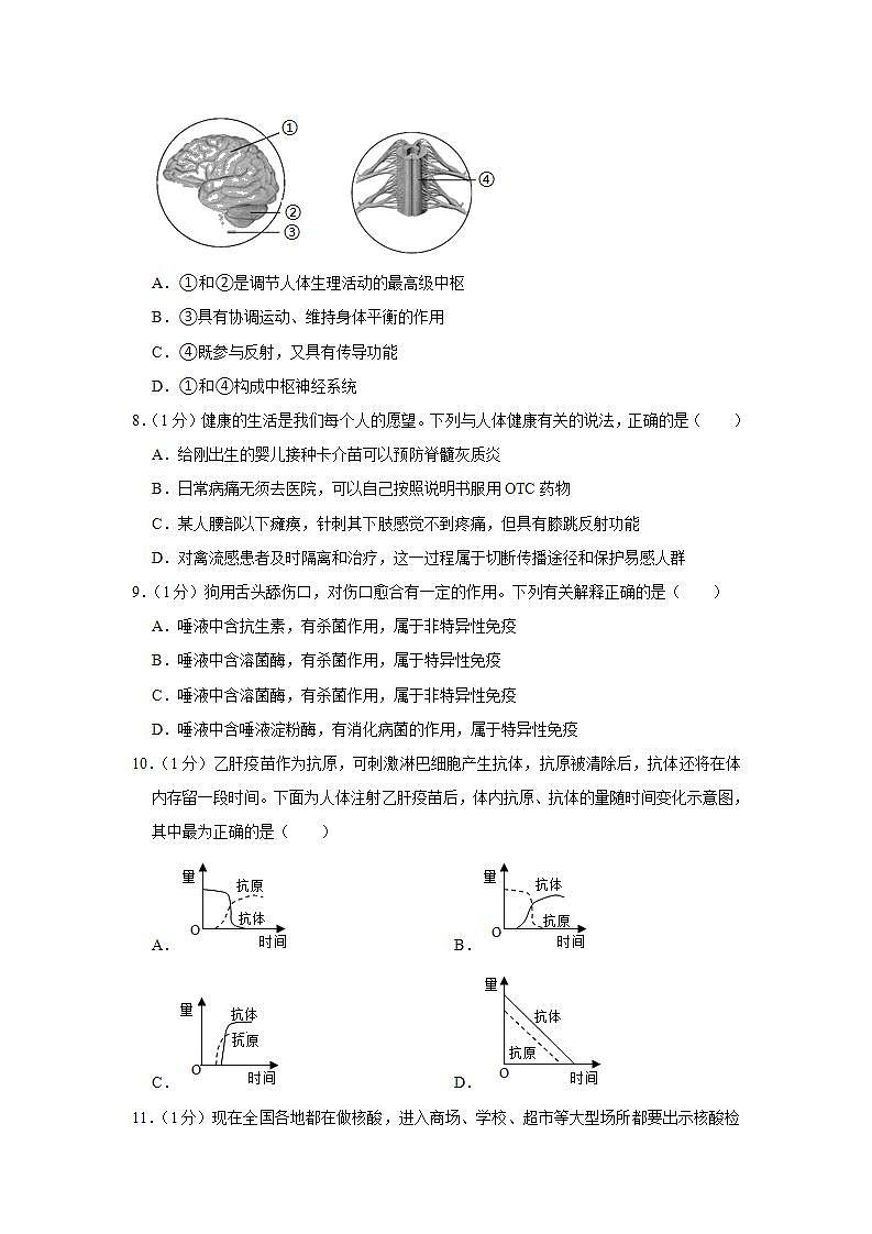 山东省菏泽市巨野县2021-2022学年七年级下学期期末生物试卷(word版含答案)第2页