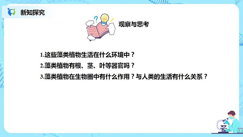 人教新版生物七年级上册《藻类、苔藓和蕨类植物》课件+教案+练习07