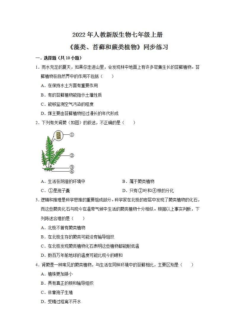 人教新版生物七年级上册《藻类、苔藓和蕨类植物》课件+教案+练习01