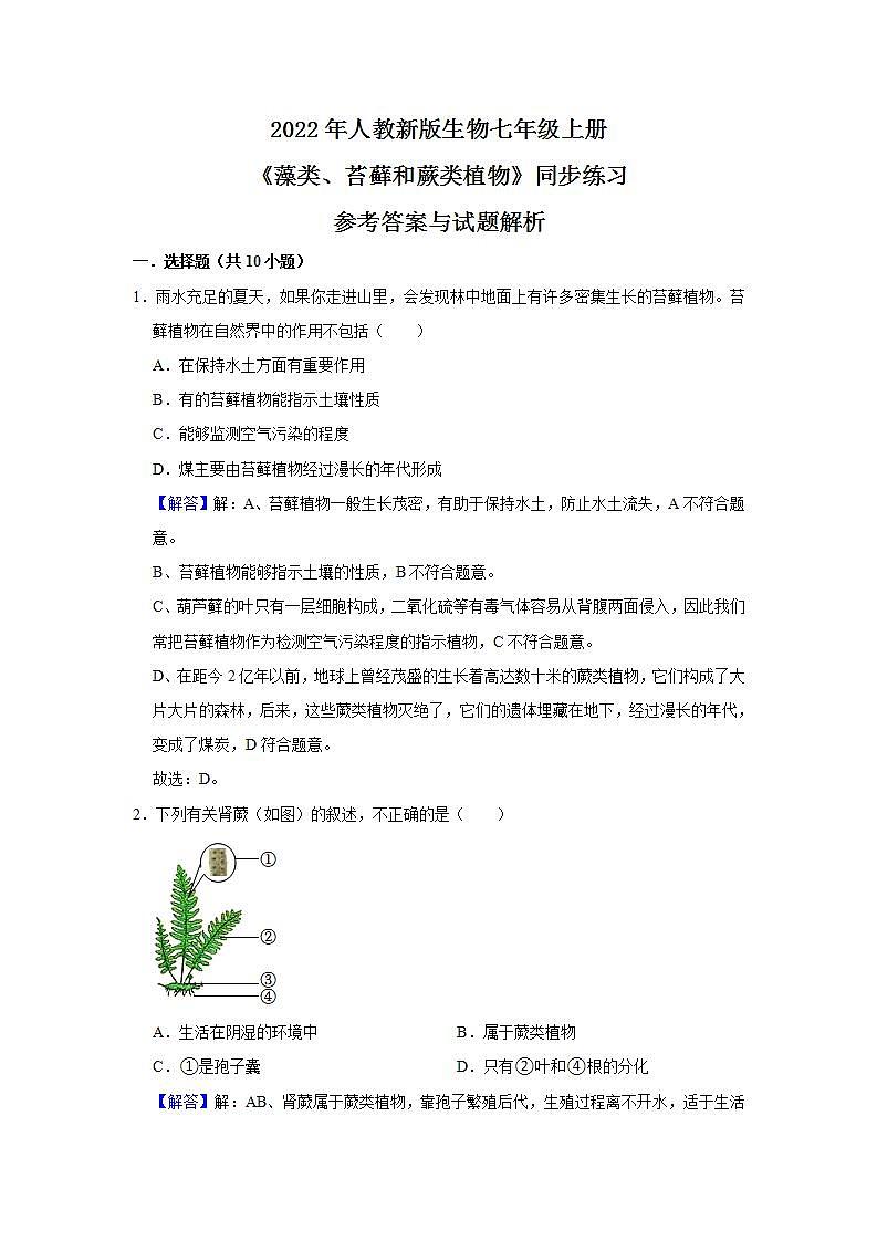 人教新版生物七年级上册《藻类、苔藓和蕨类植物》课件+教案+练习03