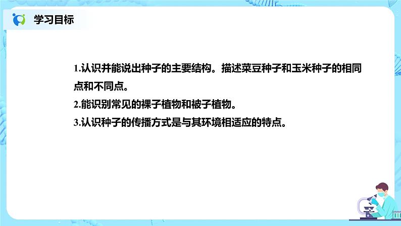 人教新版生物七年级上册《种子植物》课件+教案+练习02