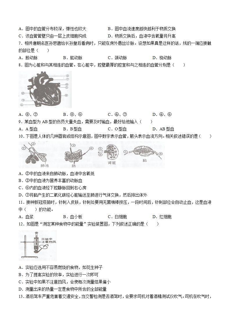 广东省湛江市雷州市2021-2022学年七年级下学期期末生物试题(word版含答案)02