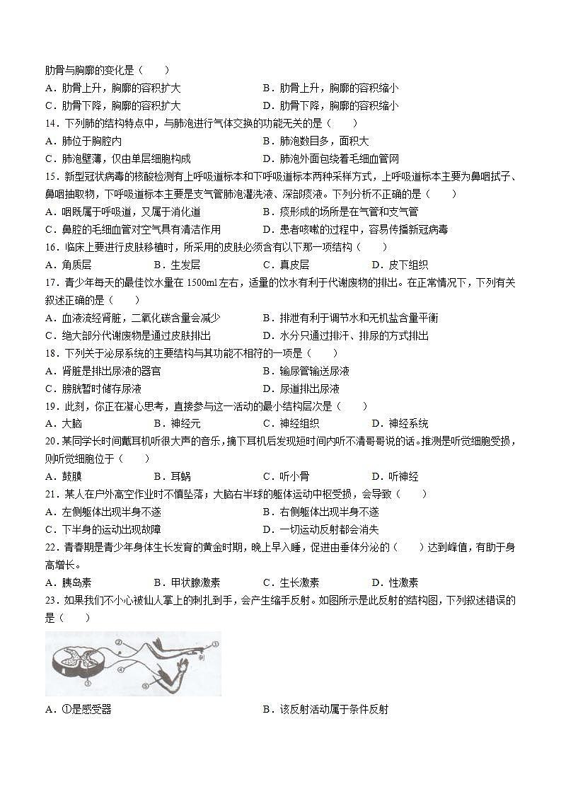 广东省湛江市雷州市2021-2022学年七年级下学期期末生物试题(word版含答案)03