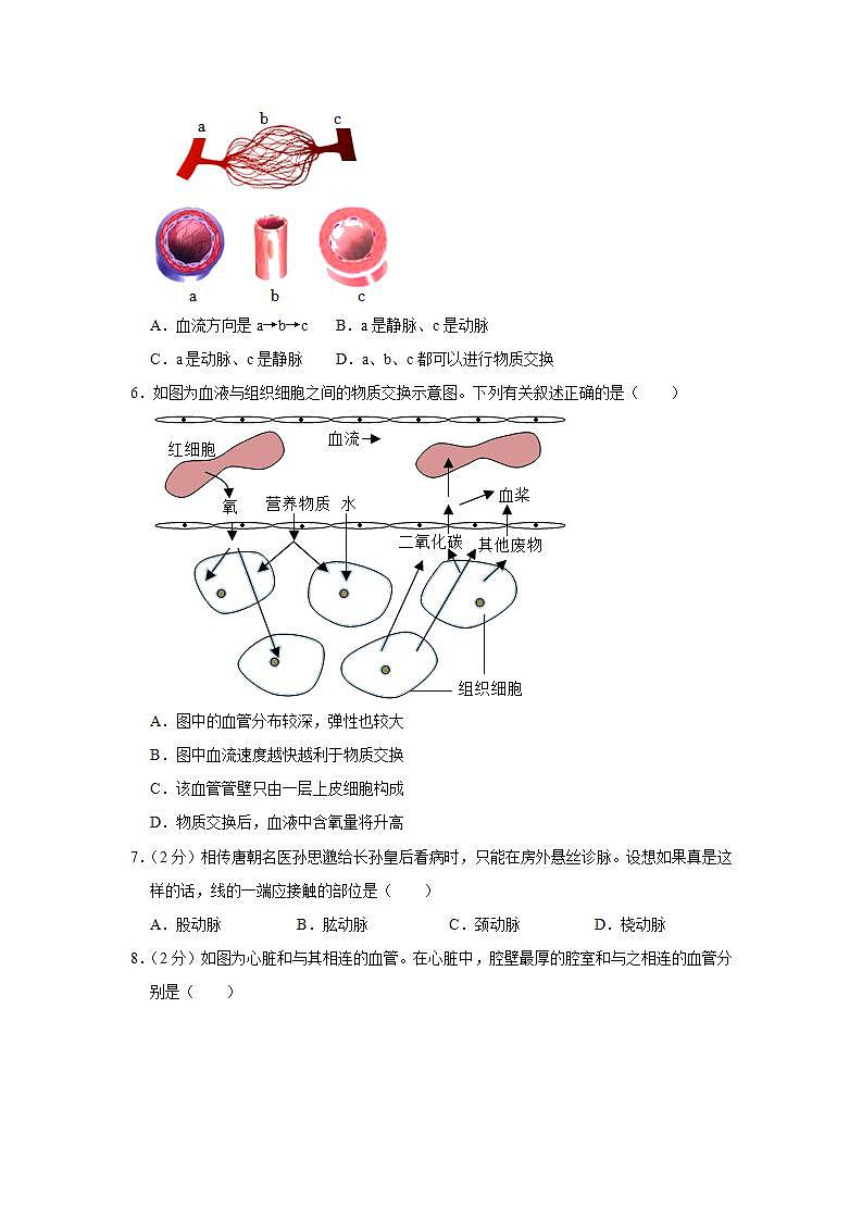 广东省湛江市雷州市2021-2022学年七年级下学期期末生物试卷(word版含答案)02