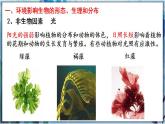 北师大版七上生物1.1.2《生物与环境的相互影响》课件+同步练习