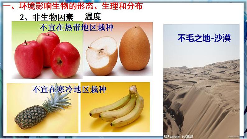 北师大版七上生物1.1.2《生物与环境的相互影响》课件+同步练习08