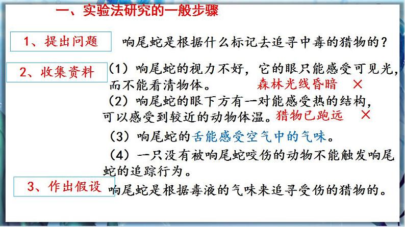 北师大版七上生物1.2.2《生物学研究的基本方法》课件+同步练习04