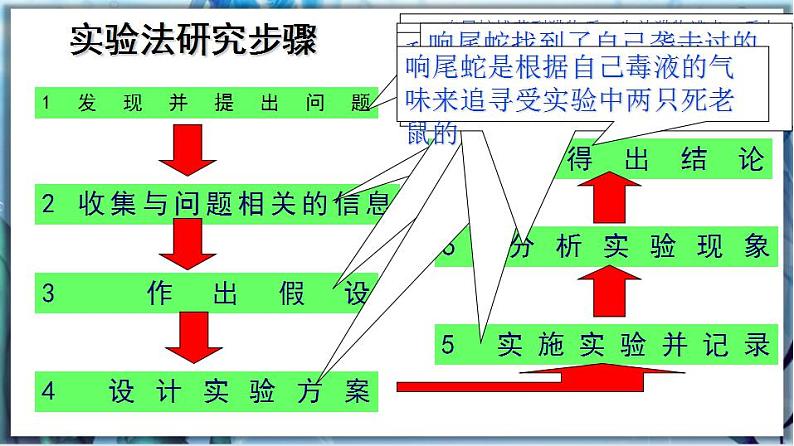 北师大版七上生物1.2.2《生物学研究的基本方法》课件+同步练习07