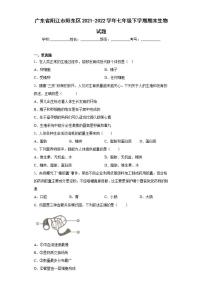 广东省阳江市阳东区2021-2022学年七年级下学期期末生物试题(word版含答案)