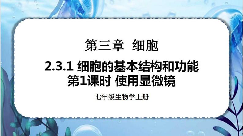 北师大版七上生物2.3.1《细胞的基本结构和功能》第1课时 课件+同步练习01