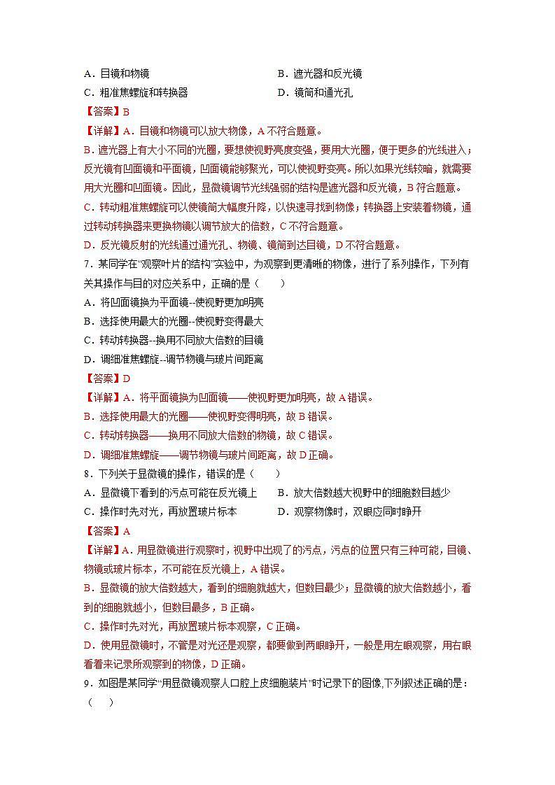 北师大版七上生物2.3.1《细胞的基本结构和功能》第1课时 课件+同步练习03