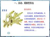 北师大版七上生物2.3.2《细胞是生命活动的单位》课件+同步练习