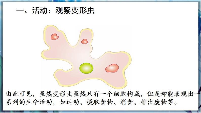 北师大版七上生物2.3.2《细胞是生命活动的单位》课件+同步练习07