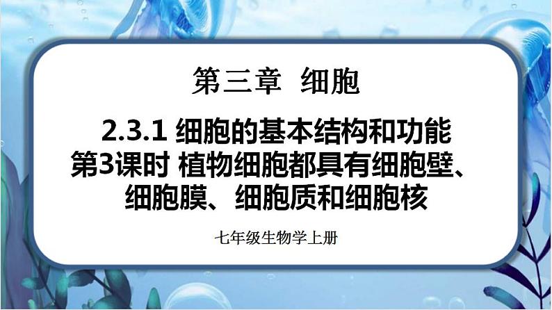 北师大版七上生物2.3.1《细胞的基本结构和功能》第3课时 课件+同步练习01