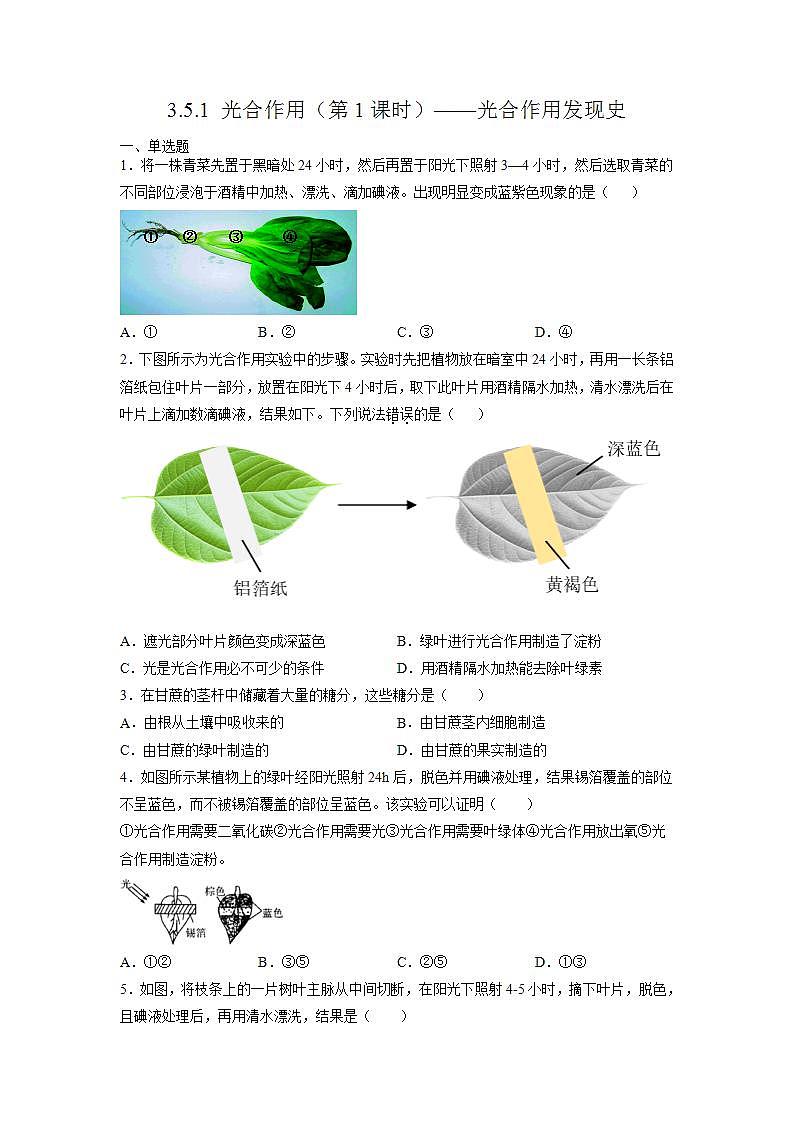 北师大版七上生物3.5.1《光合作用》第1课时 课件+同步练习01