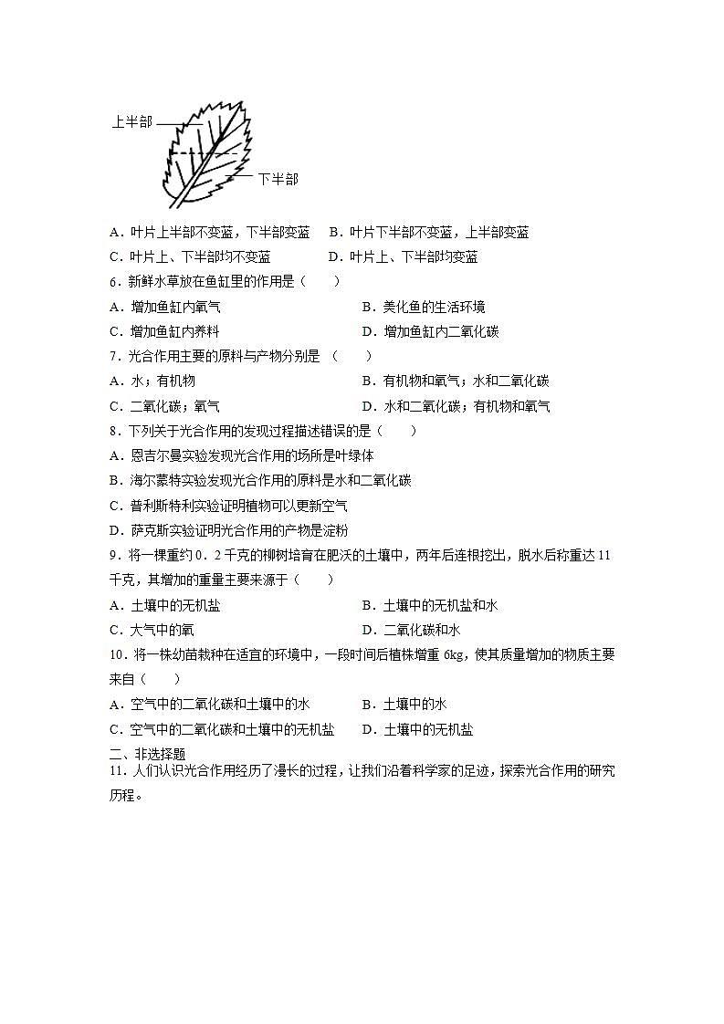 北师大版七上生物3.5.1《光合作用》第1课时 课件+同步练习02