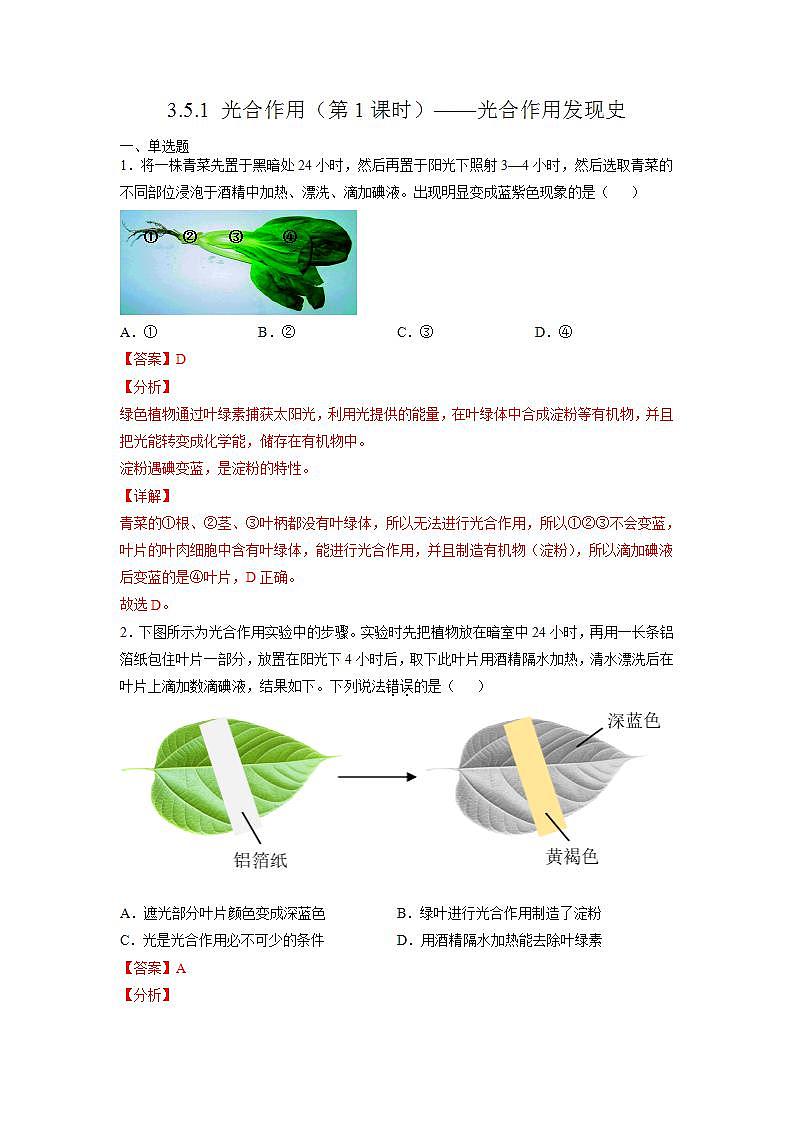 北师大版七上生物3.5.1《光合作用》第1课时 课件+同步练习01