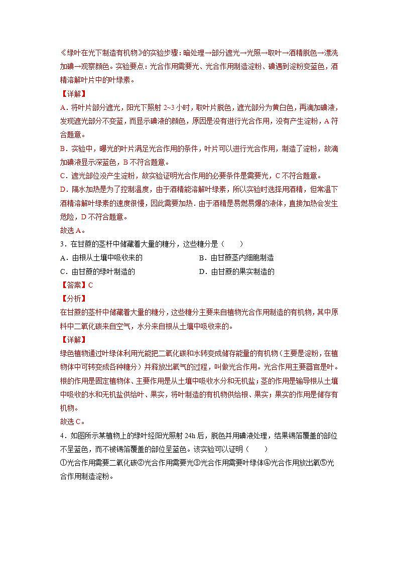 北师大版七上生物3.5.1《光合作用》第1课时 课件+同步练习02