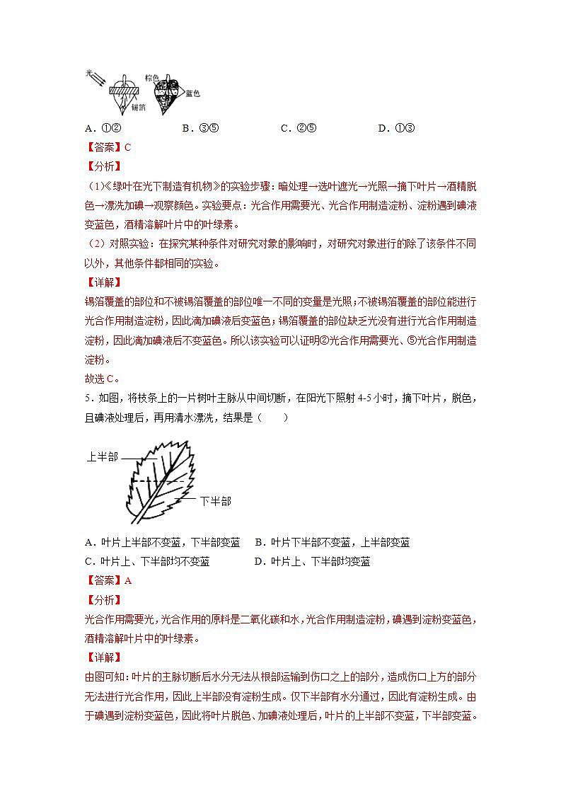 北师大版七上生物3.5.1《光合作用》第1课时 课件+同步练习03