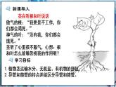 北师大版七上生物3.5.5《运输作用》课件+同步练习