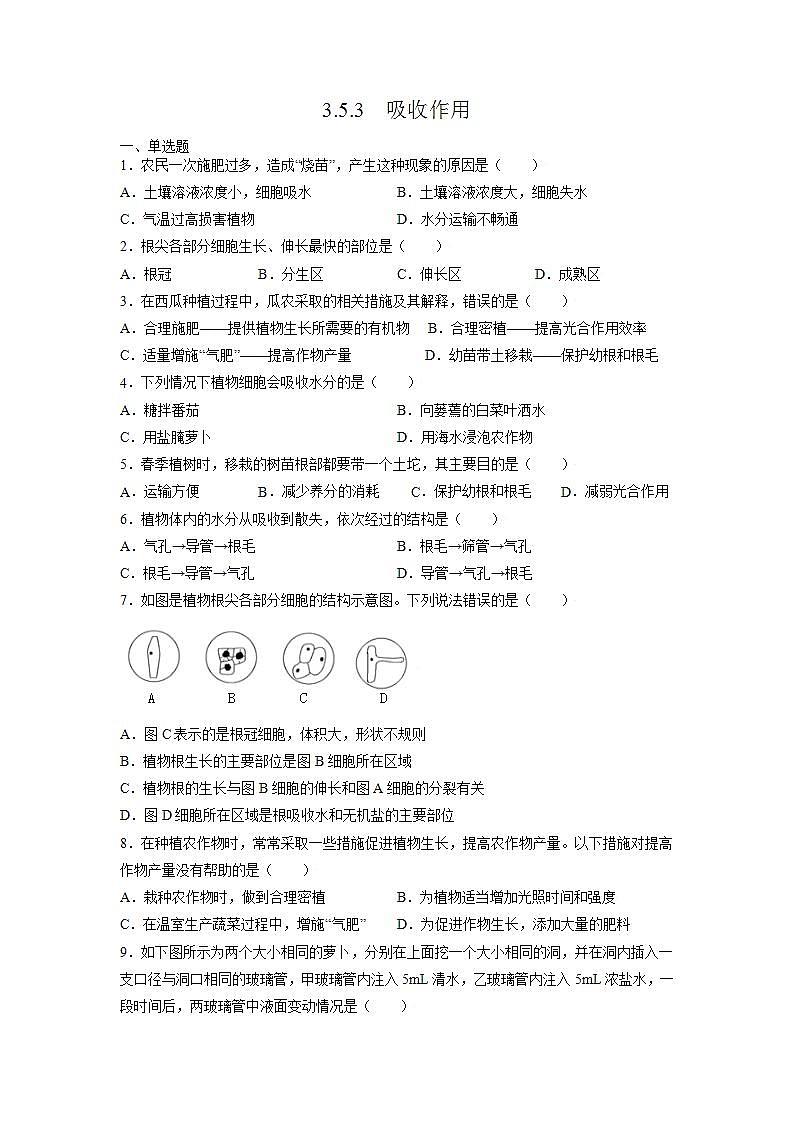 北师大版七上生物3.5.3《吸收作用》课件+同步练习01