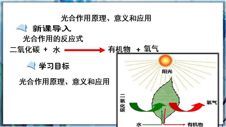 3.5.1 光合作用（第4课时）第2页