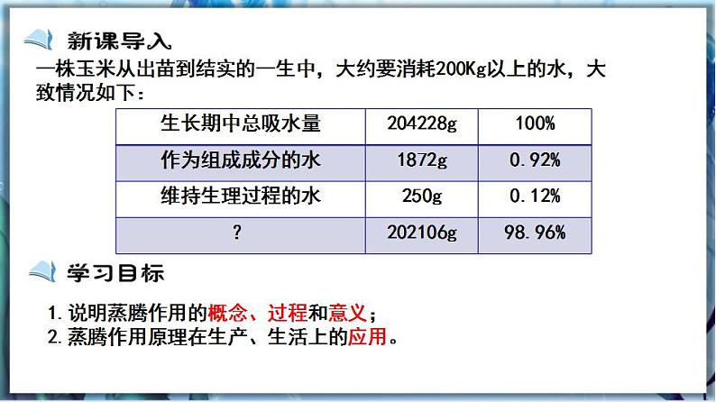 北师大版七上生物3.5.4《蒸腾作用》课件+同步练习02