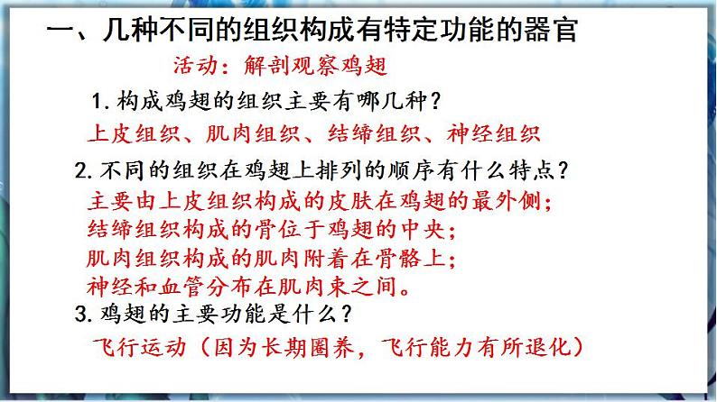 2.4.2 生物体的器官、系统第5页