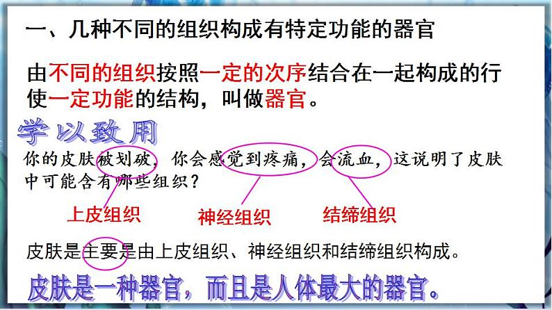 2.4.2 生物体的器官、系统第6页
