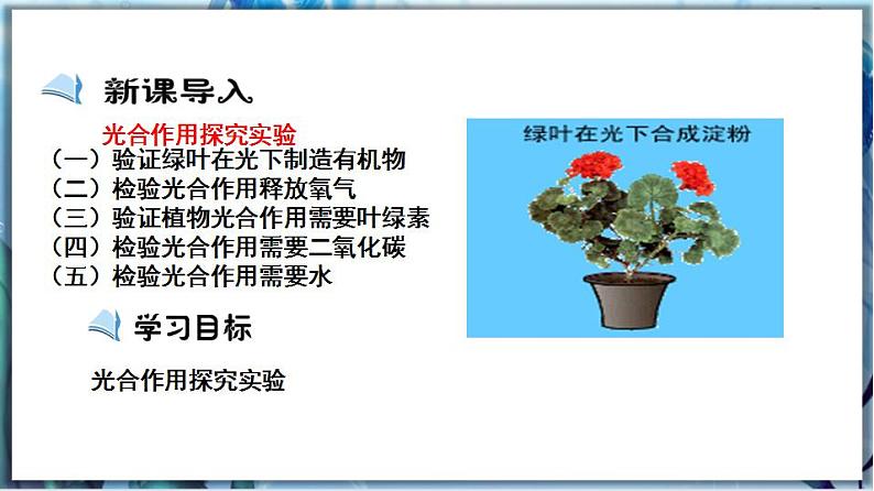 3.5.1 光合作用（第2课时）第2页