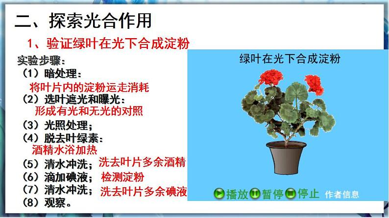 3.5.1 光合作用（第2课时）第3页