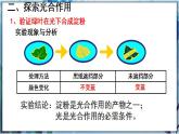 北师大版七上生物3.5.1《光合作用》第2课时 课件+同步练习