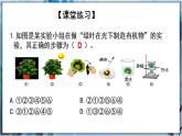 北师大版七上生物3.5.1《光合作用》第2课时 课件+同步练习