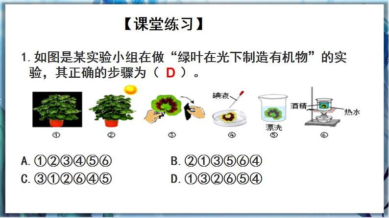 3.5.1 光合作用（第2课时）第5页