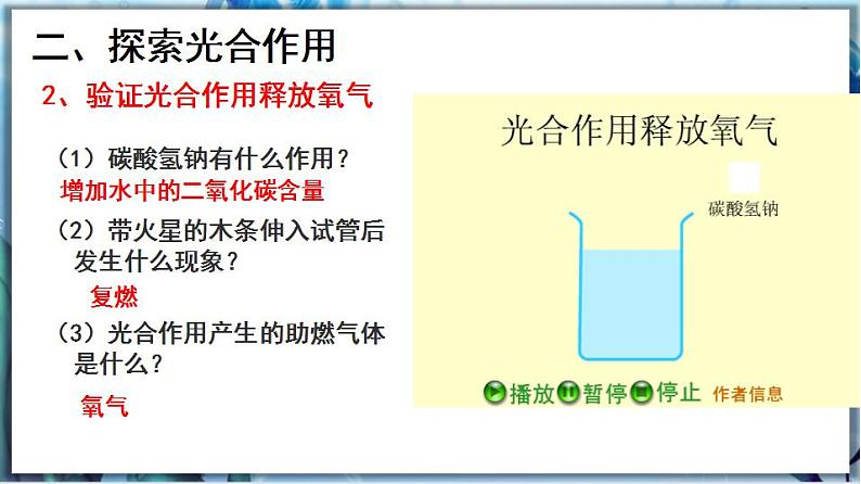 3.5.1 光合作用（第2课时）第6页
